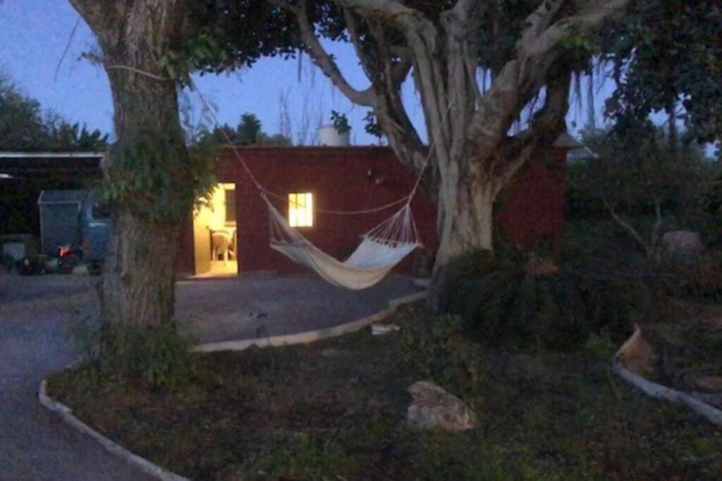 Orange Blossom Finca Unique Valencia Exterior photo