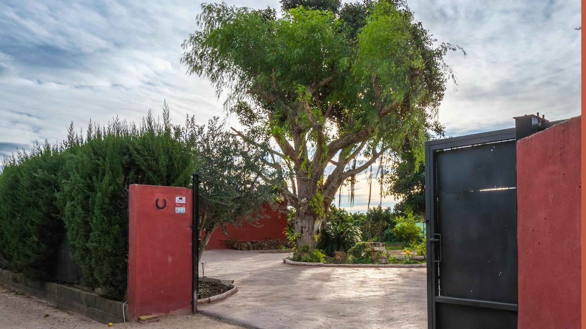 Orange Blossom Finca Unique Valencia Exterior photo
